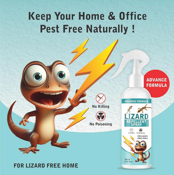 Lizard Repellent Spray 250ML (Buy 1 Get 1 FREE)