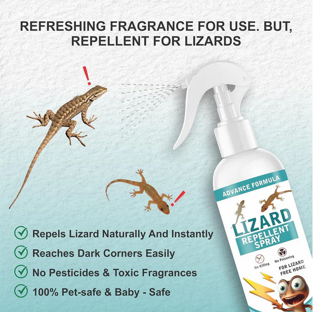Lizard Repellent Spray 250ML (Buy 1 Get 1 FREE)